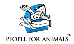 PFA logo w name